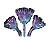 lotus_logo